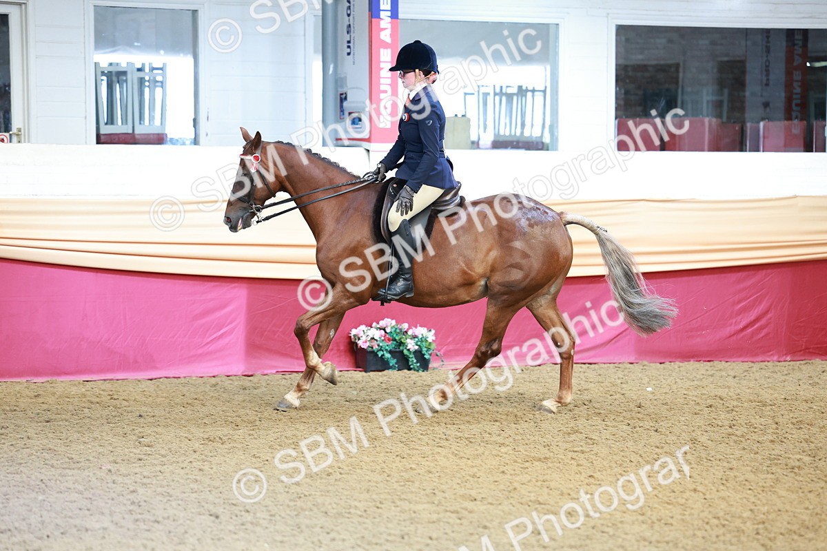 SBM_11936 - Class 102 - Equitation (Best Rider) Adult