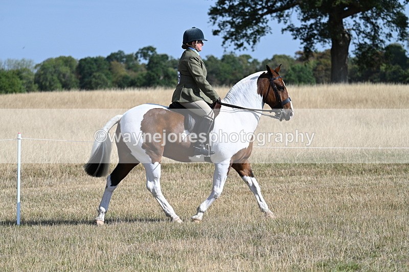 WJ7_2804 - Class 8 Ridden Tack & Turnout