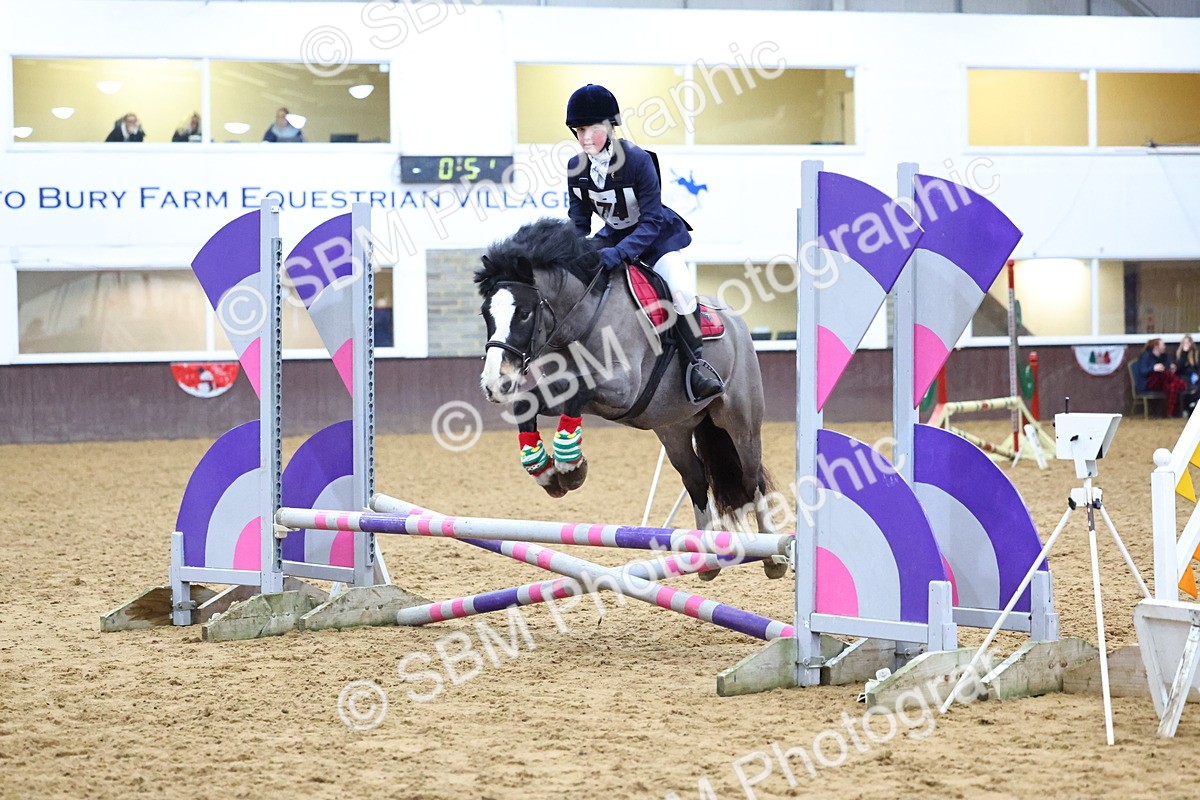 SBM_001257 - Class 3 - Christmas Tree Stakes - 60cm