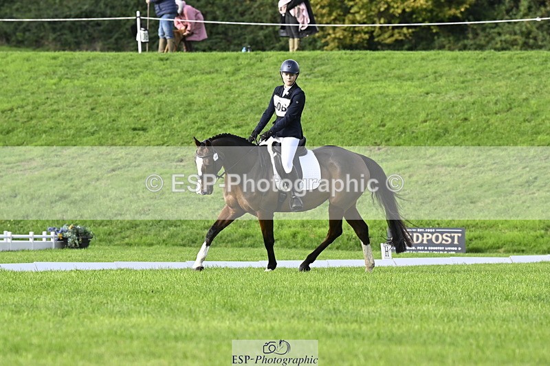 251023A-103437-02869 - F-406-Georgie.Down