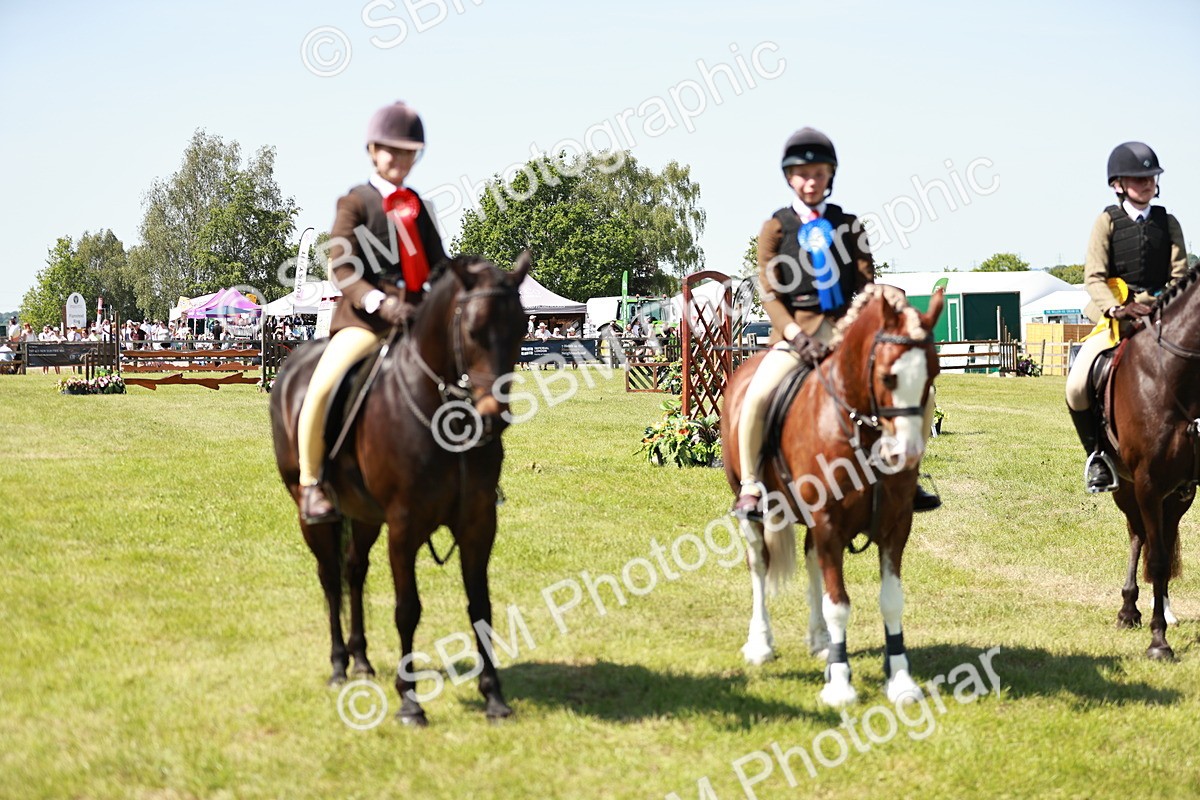 SBM_17663 - Class 112-113 - BSPS LIHS Working Sports Pony