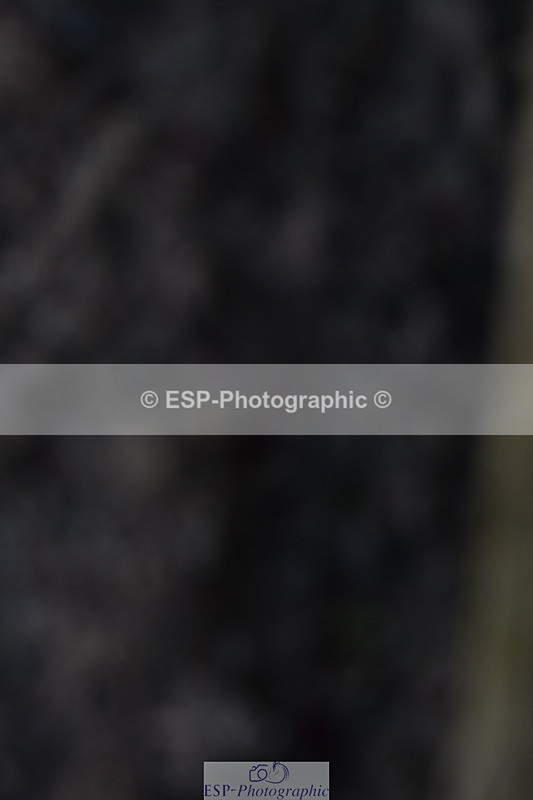 231104A-122349-00455 - Cls 7 Elementary 43