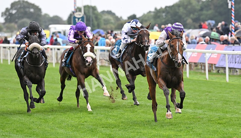 200826-159 Mia Fantasia - Race 6 16.45pm Mews Hotel Ossett EBF Stallions Nursery Handicap