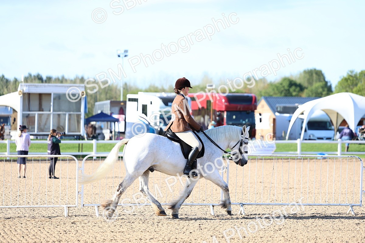 SBM_08735 - Class 302 - Ridden M&M - Large Breeds