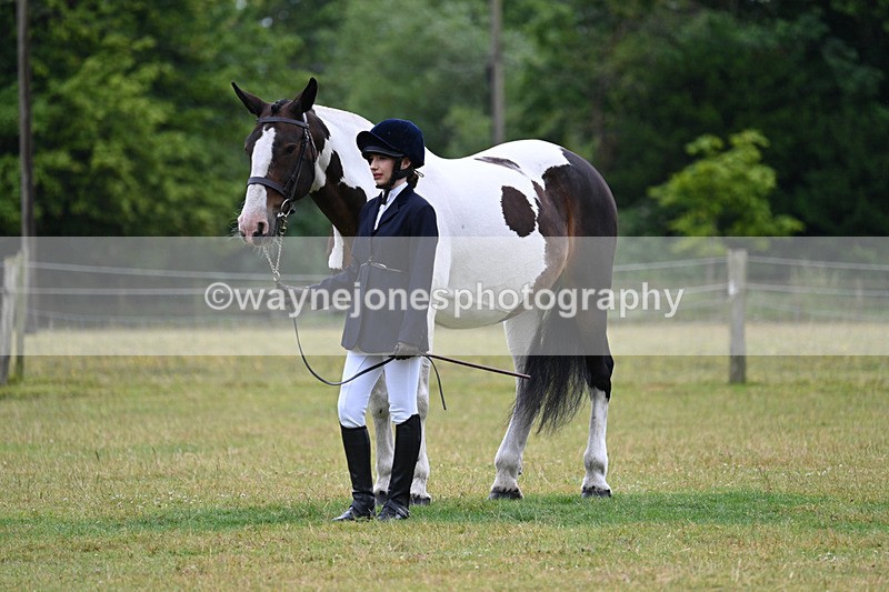 WJ7_6205 - Class 4a Prettiest Mare over 14hh