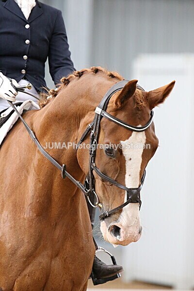 SIAL9019 - GDG Bogenraith Friday 26th Sept 2025