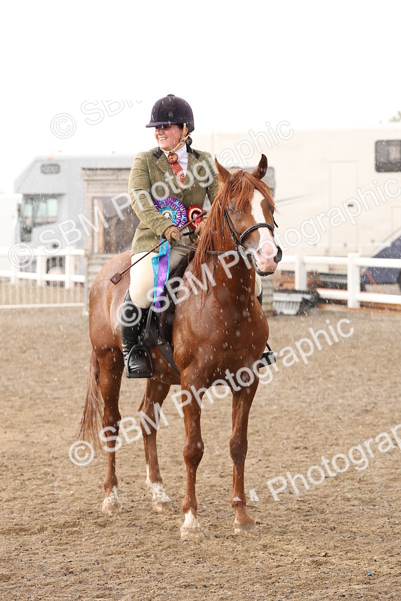 SBM_07601 - Class 59b -  Style & Performance - 80cm (20+)