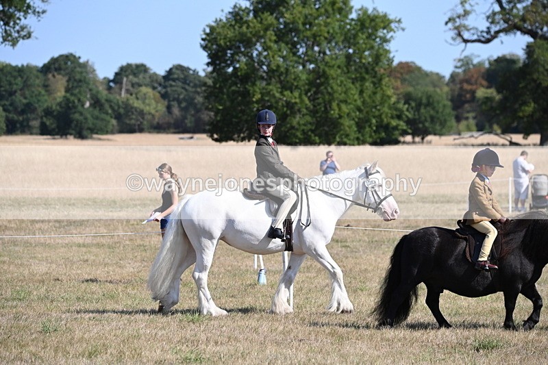 WJ6_7399 - Class 34 Judges Choice