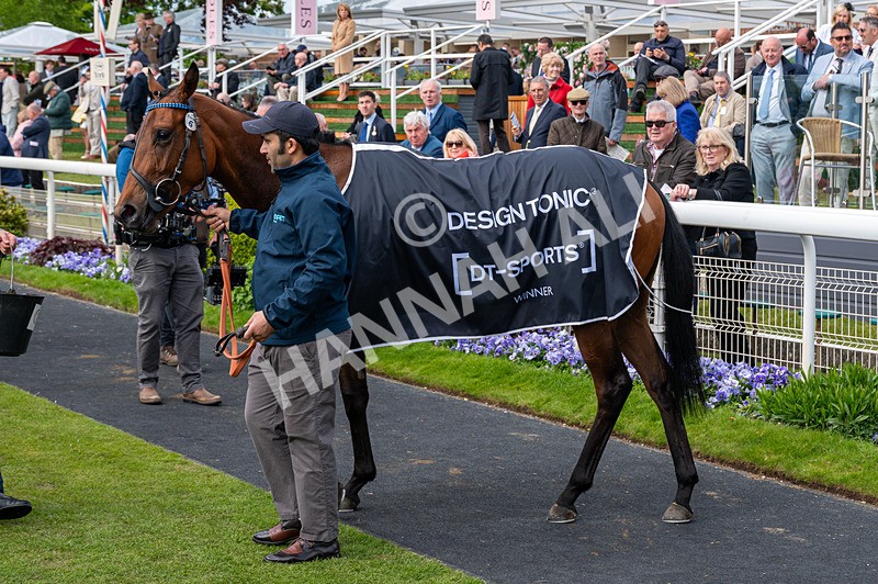 150526-Race 4-Love A Giggle-2717 - Race 4 3.30pm Design Tonic Out Of This World Spaces At The Races EBF Marygate Fillies' Stakes