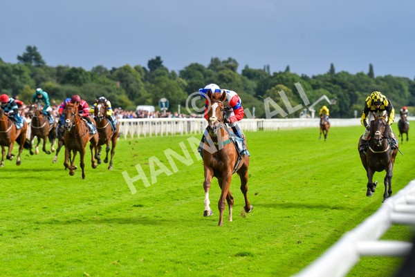 150723-Race 6-Robert Johnson-8816 - Race 6 4.55pm John Smith's Stayers' Handicap