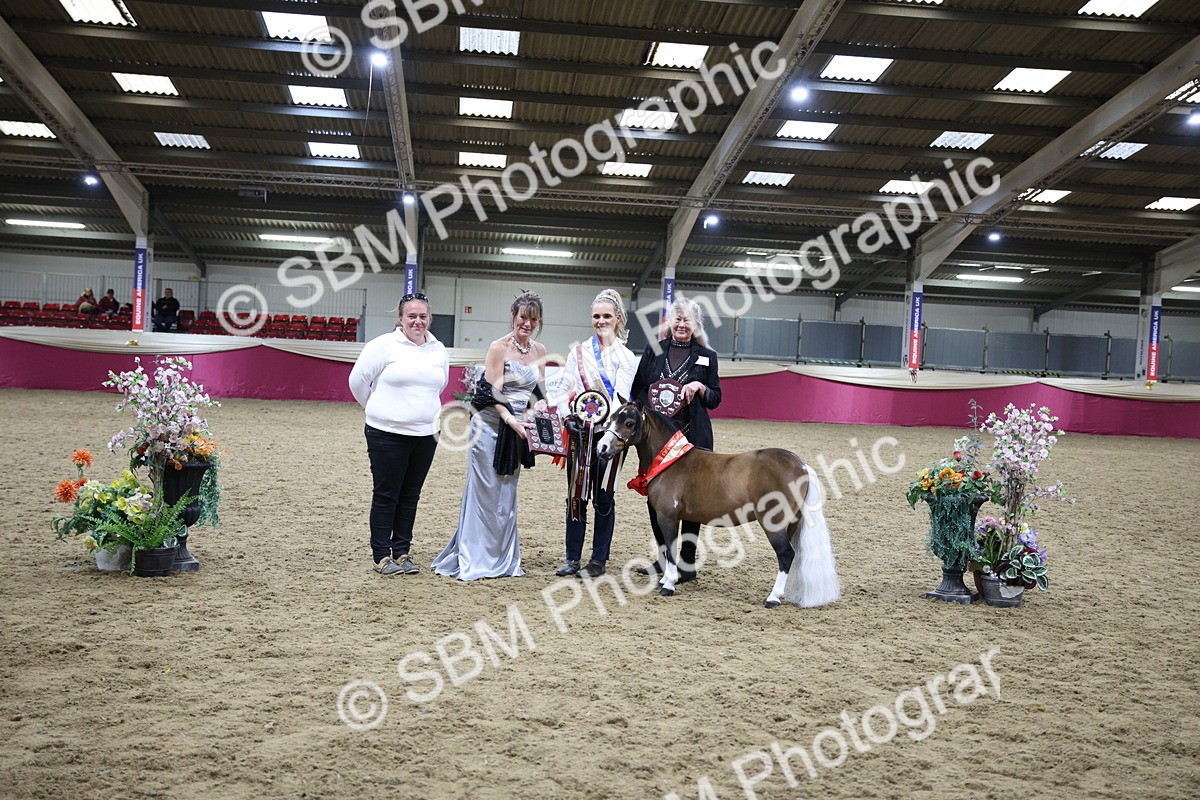 SBM_18778 - Class D IH Pony Champ