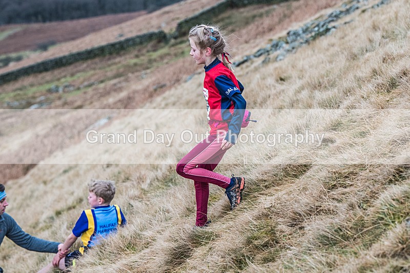Barbondale-69 - Kendal Winter League Bardondale Junior & Senior Fell Races Sunday 8th February 2026