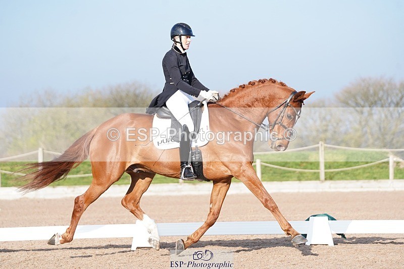 250403-085616-00090 - 009-Sarah.Stewart-Djoe.Dimaggio