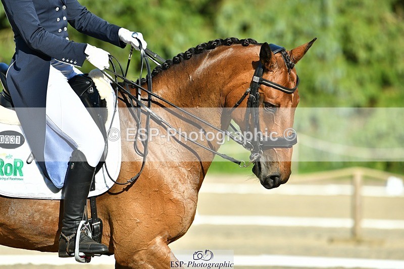 230623-182104-03235 - Cls 11 FEI PSG