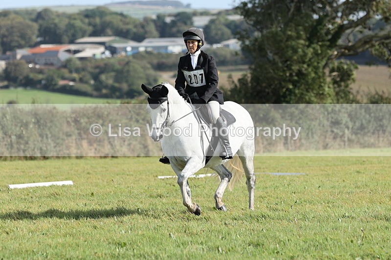 JPP_8062 - Class 2A: Trekenning Open: Dressage