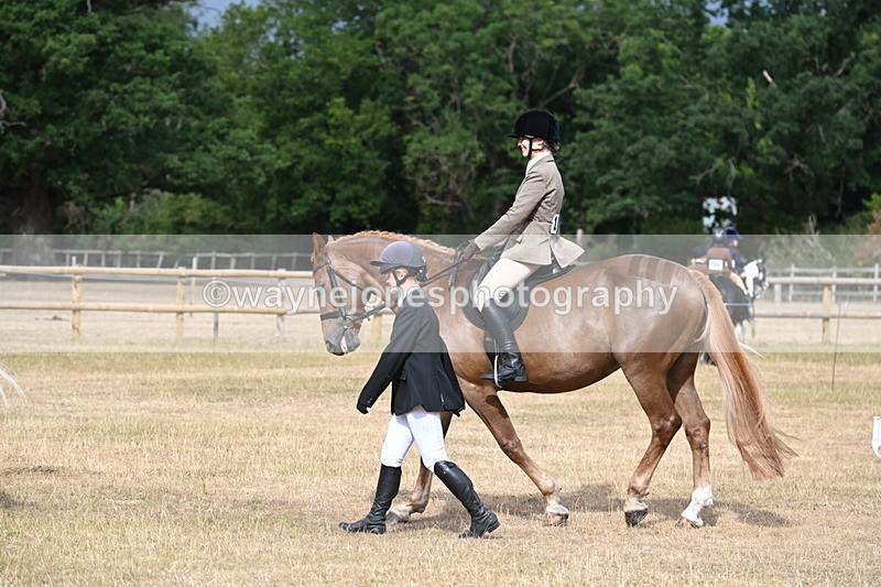 WJ6_7486 - Class 9 Tack and Turnout