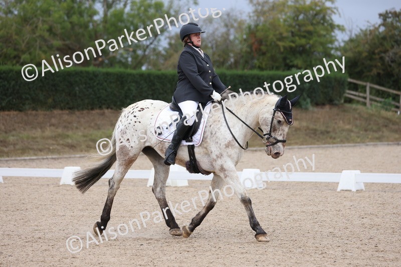 20250820-0099 - Class 7 - My Quest Intro 3