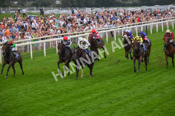 100923-Race 5-Commanche Falls-0873 - Race 5 3.50pm BetGoodwin Garrowby Stakes