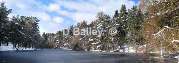 Bod Petryal Clocaenog Forest