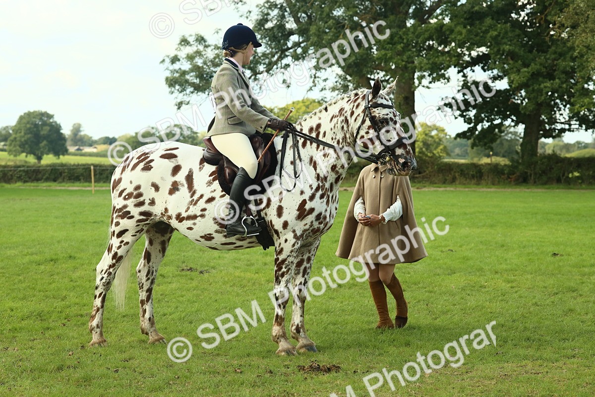 SBM_62456 - S62 - Foreign Breeds Ridden