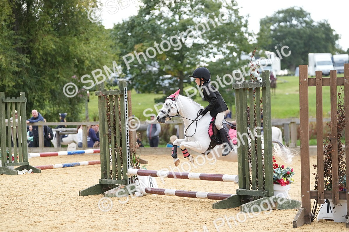 SBM_74649 - J4 - Mini Tour Junior Pony 45cm Championship