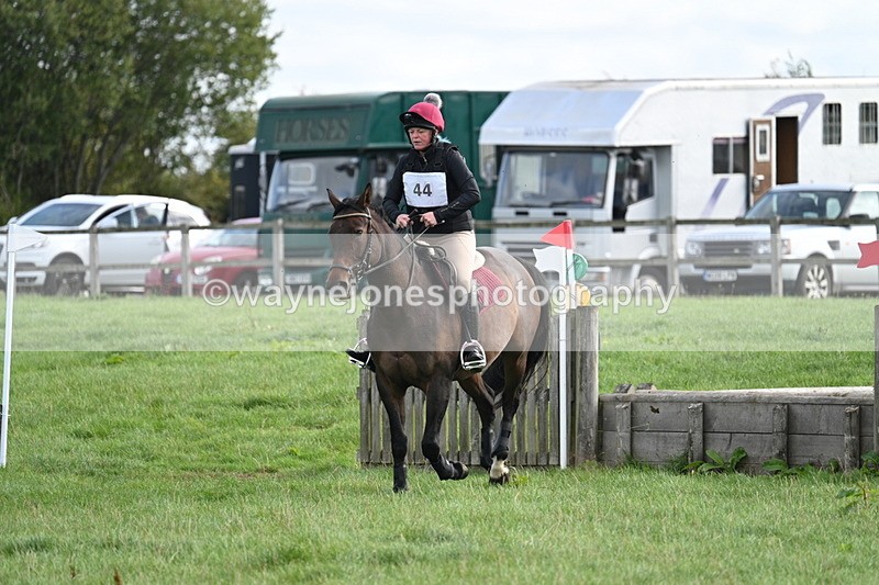 WJ7_8342 - 60cm Pairs