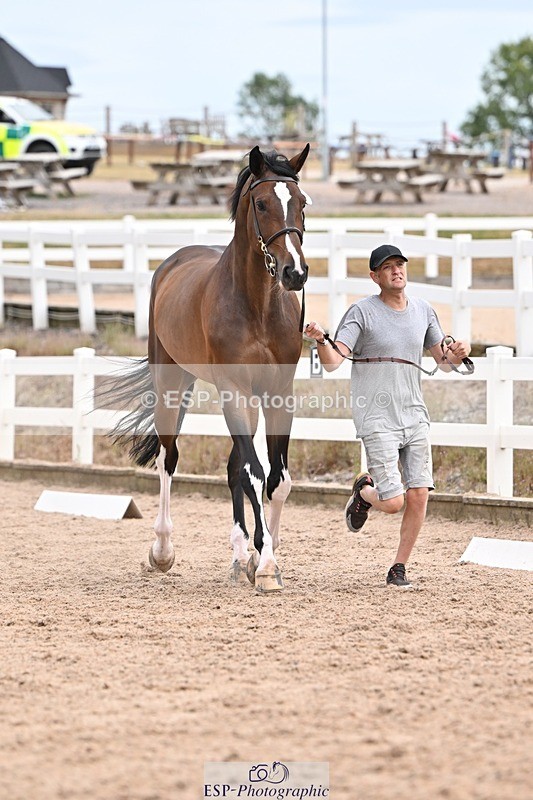 250716-152456-01915 - Trot Up 2.30 to 3.30