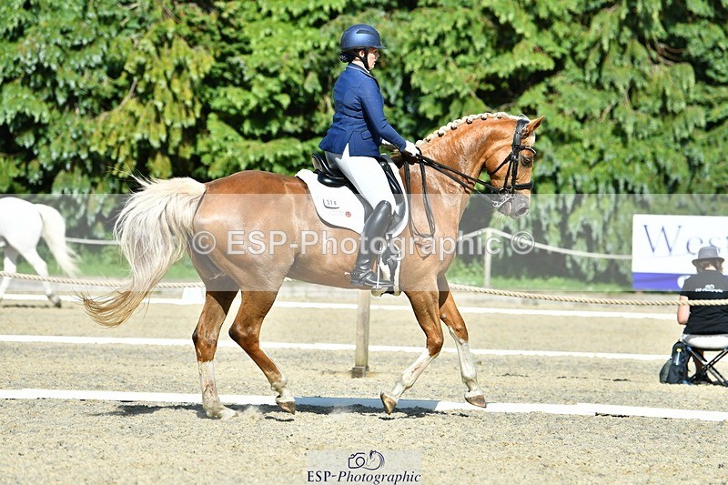 230623-165930-02945 - Cls 9 Advanced Medium 91Q