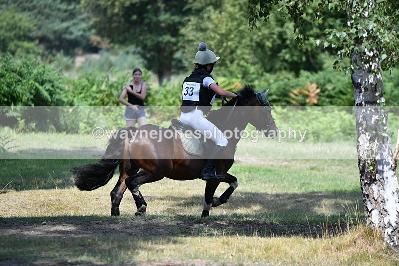 WJ5_2745 - XC Time 11:51 to 12:26