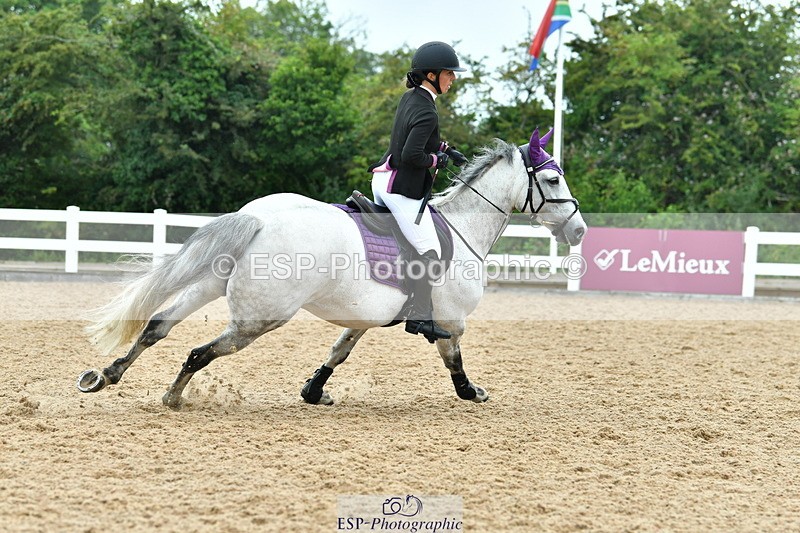 230730A-101611-08523 - Cls 31 British Novice & 90cm Open