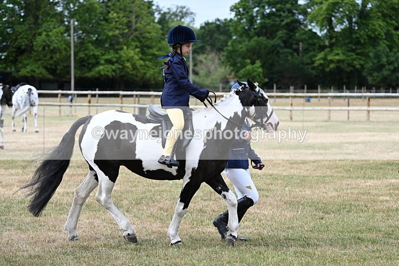 WJ7_9779 - Class 1 Lead Rein Pony