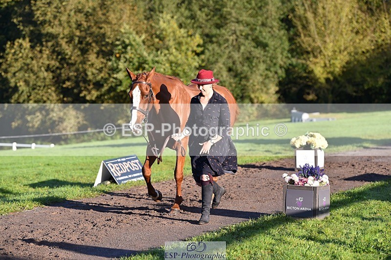 231022-091944-21703 - 663-GROOVY.GUY-Hannah.Watson-TrotUp+SJ