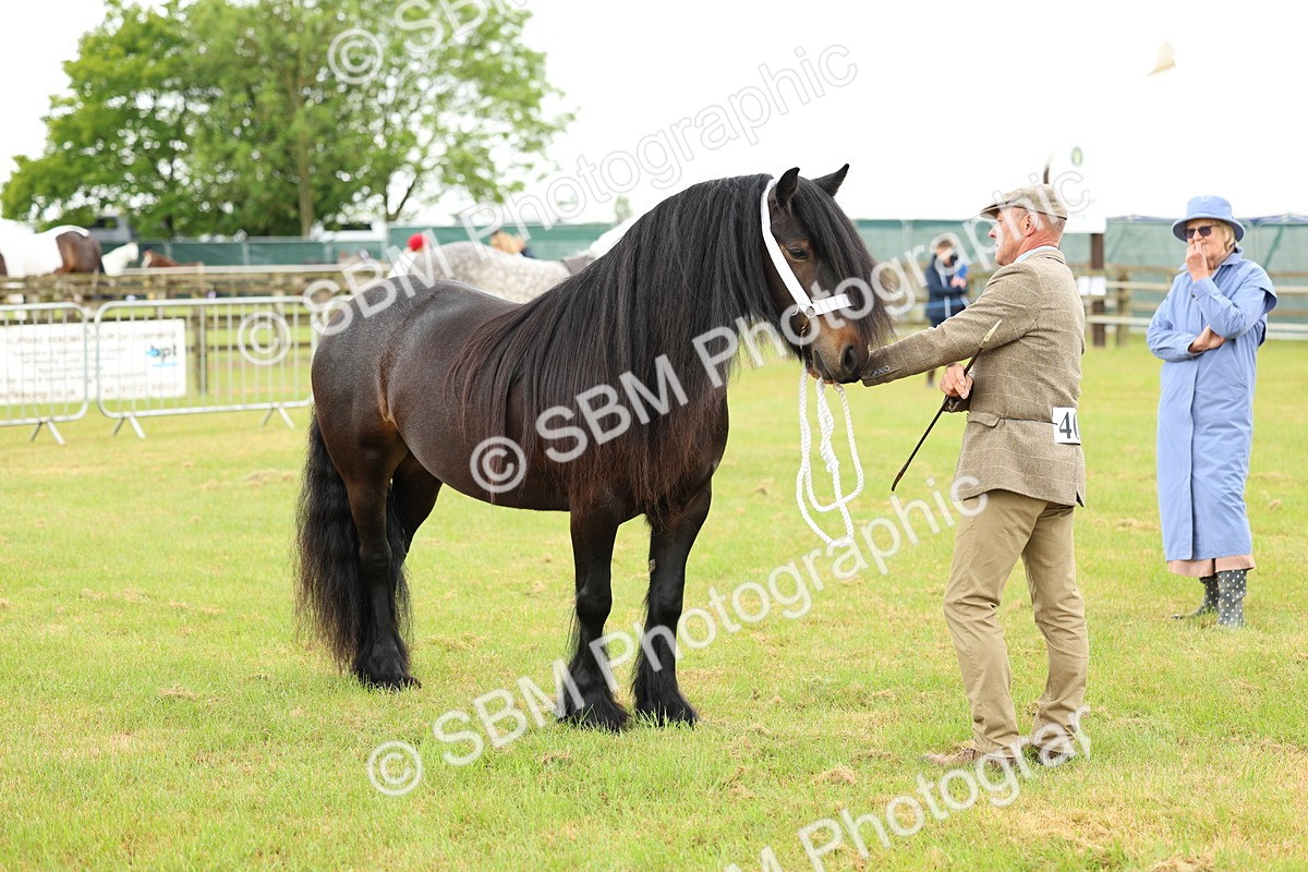 SBM_00510 - Class 58-67 - M&M Non Welsh Pony In hand