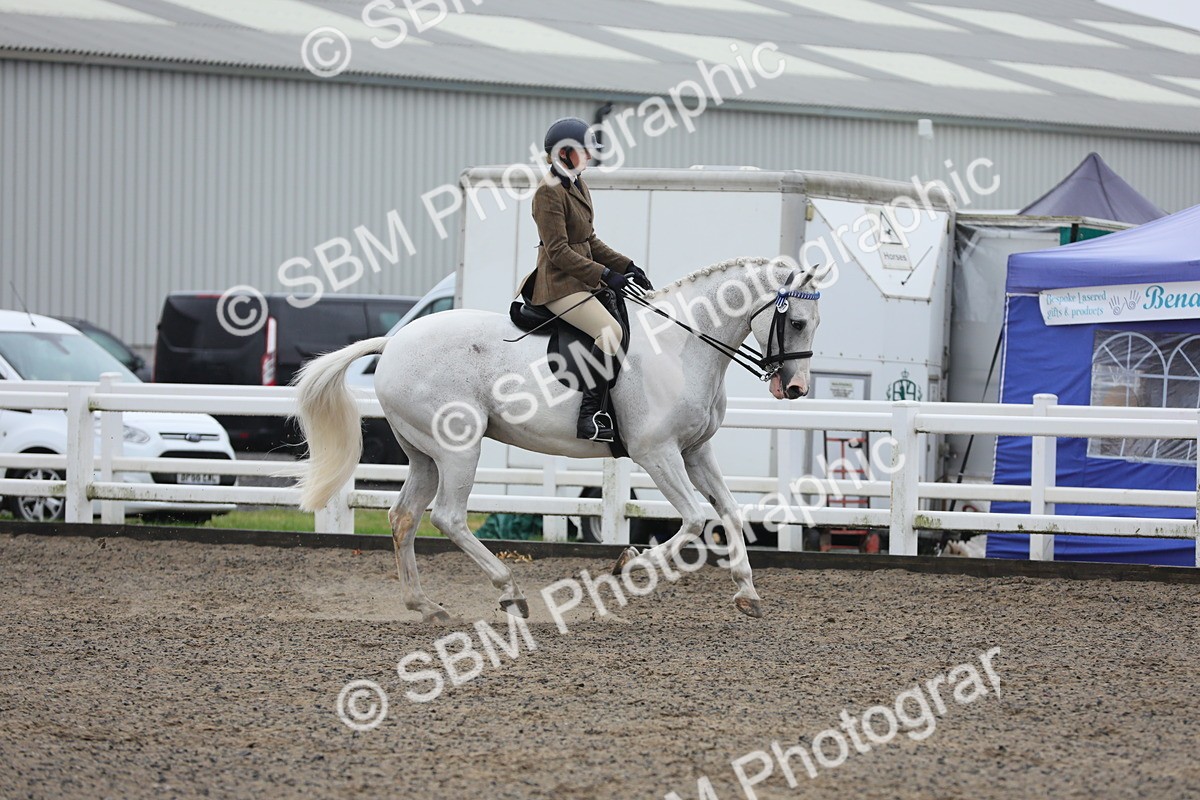 SBM_20039 - Class 802 - Ridden Groom - Helpers class