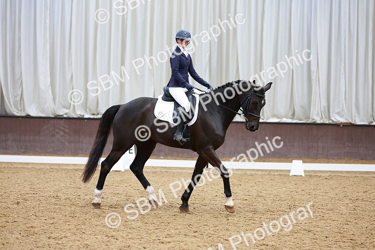 SBM_003491 - Class 11 - Novice 2