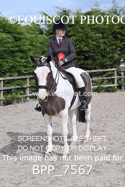 BPP_7567 - RING 1  (RIDDEN HORSES / IN HAND / VETERAN ETC)