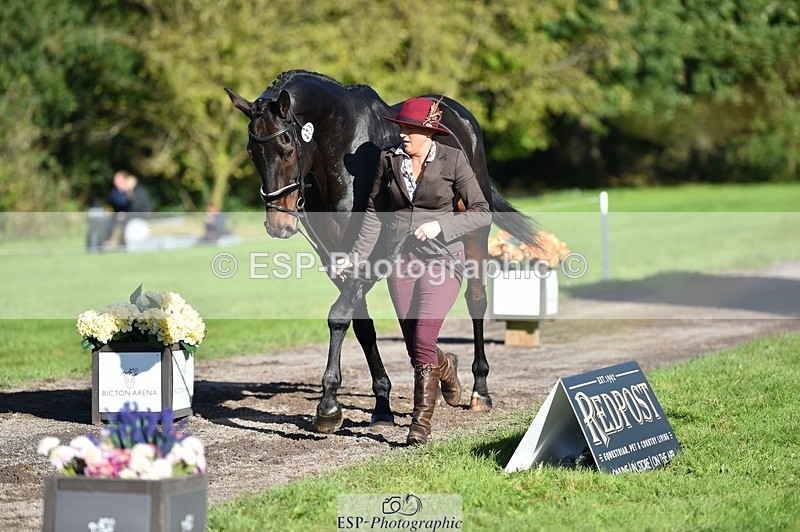 231022-105322-23562 - 473-COUNTING.STARS-Victoria.Newitt-TrotUp+SJ