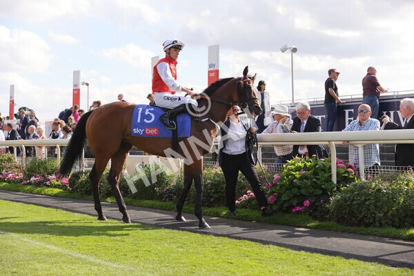 yr20082022r5-4 - Race 5 4.10pm Sky Bet Constantine Stakes