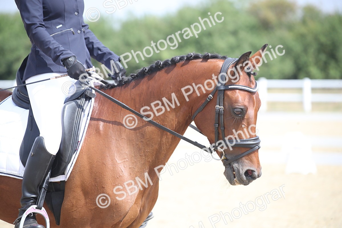 SBM_006631 - Novice 5 - 10.56-13.12