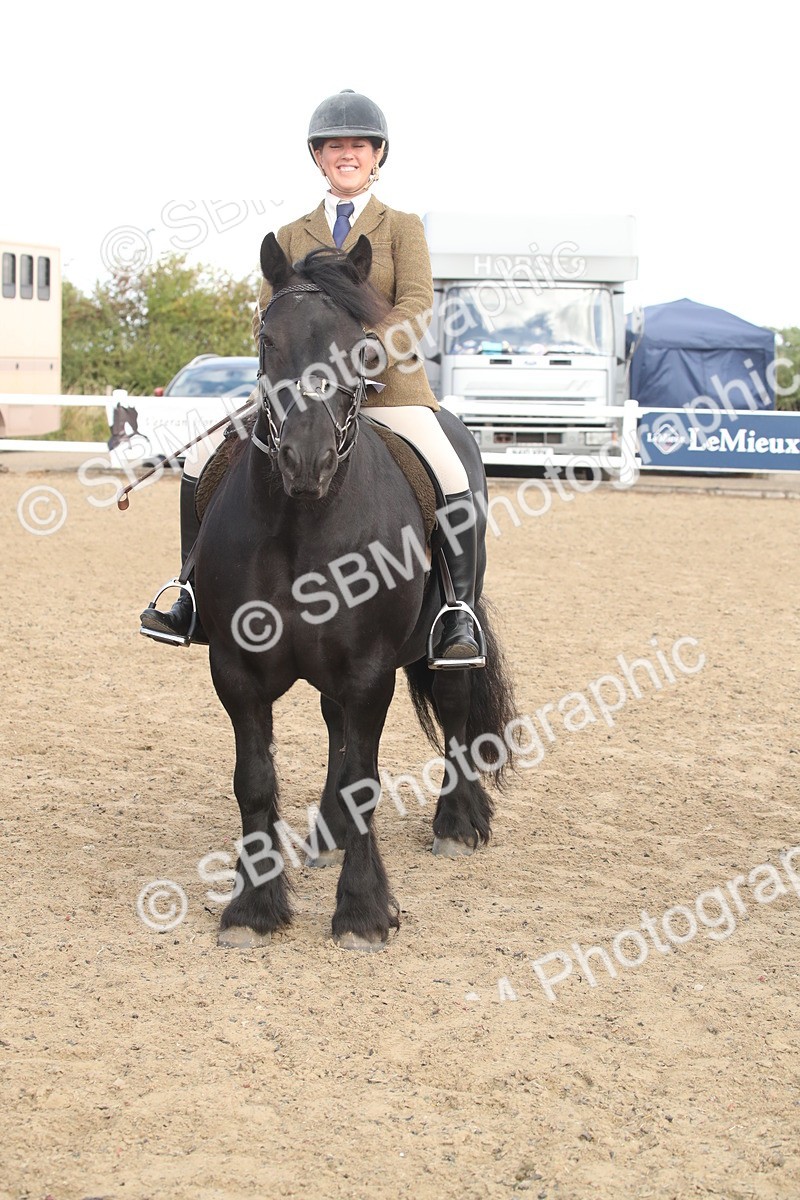 SBM_14588 - Class 505a - M&M Working Veteran - 50cm (15-19)