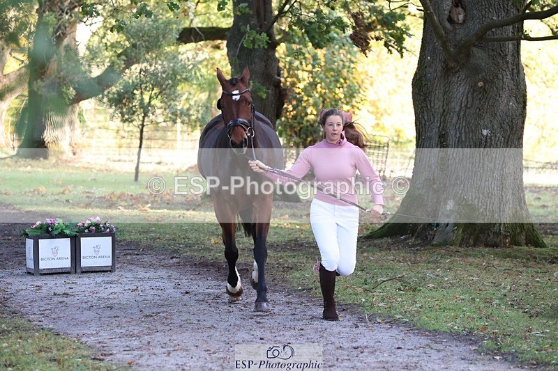 261025A-091454-24384 - 3DE Unknown riders - Trot Up