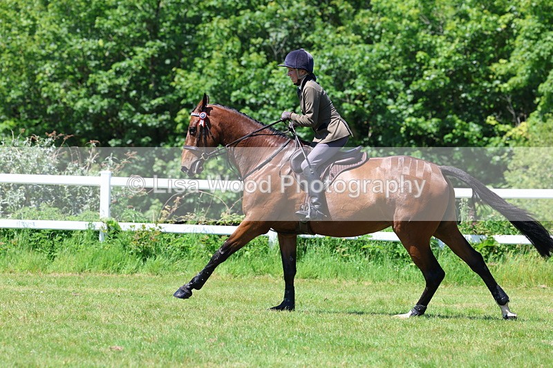 3E7A7473 - Class 31: Working Hunter Cob/Riding Horse