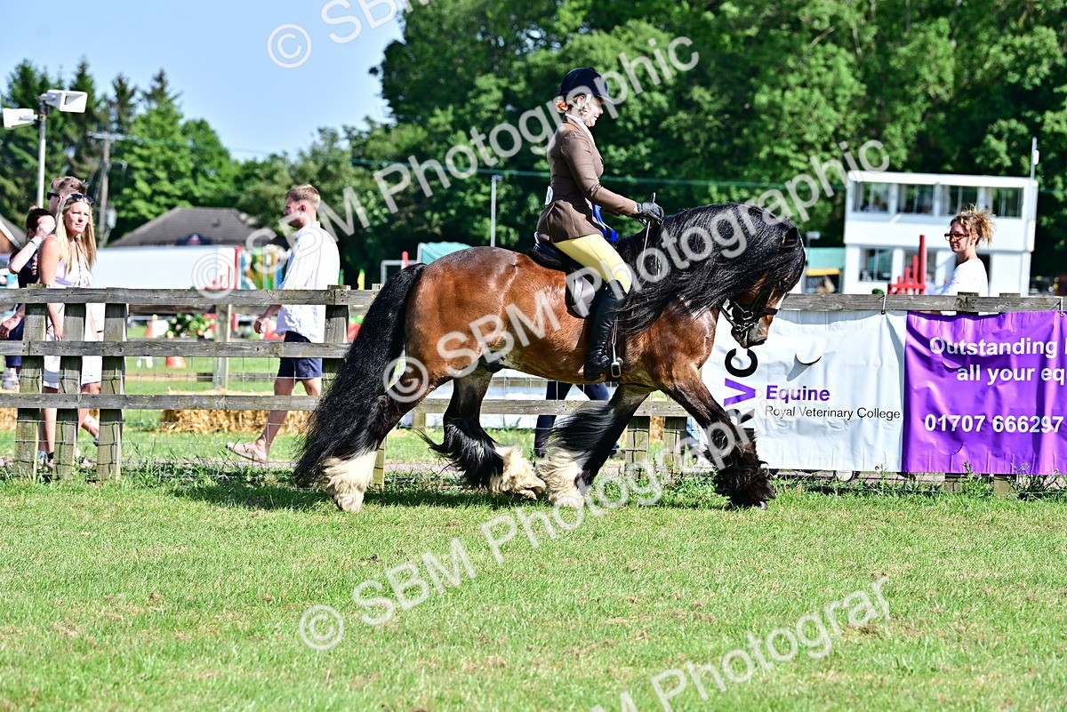 SBM_09475 - Class 63-65 - Traditional Gypsy Cobs In Hand & Ridden