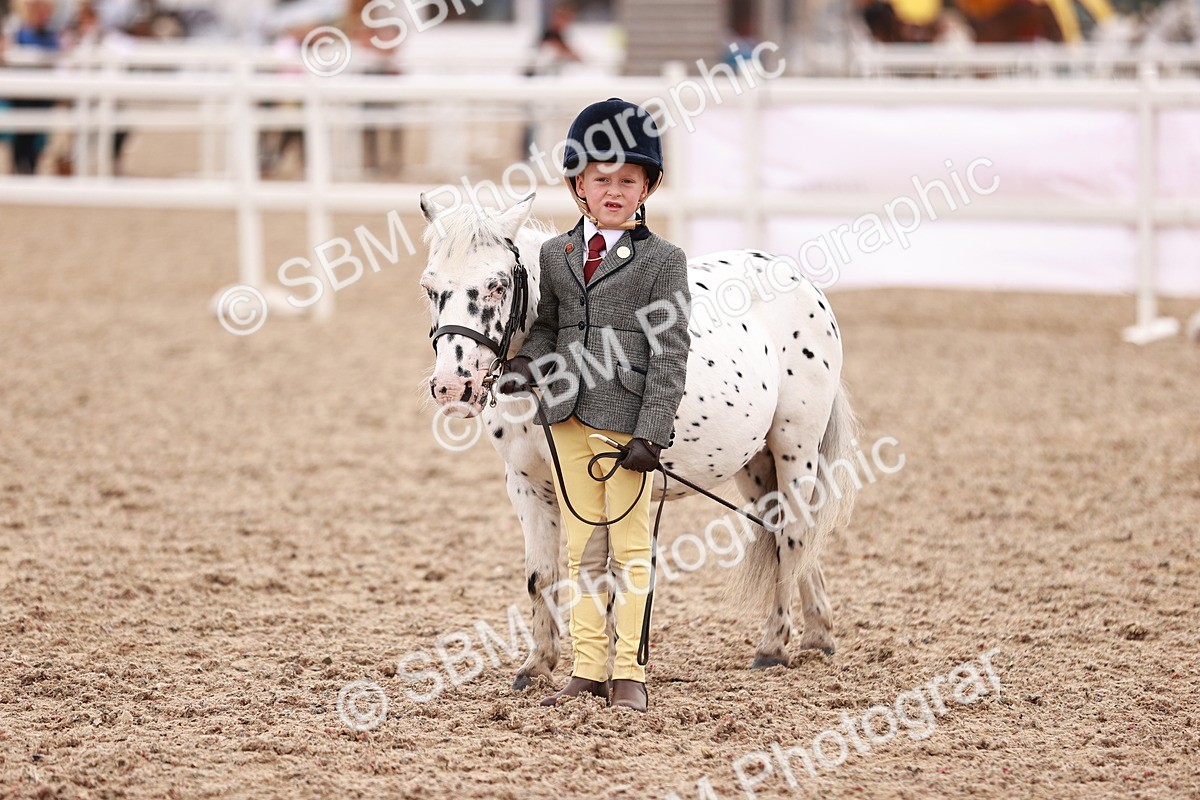 SBM_18590 - Class 421 - Childs Best Friend - Jnr