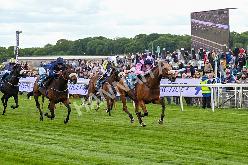 150526-Race 1-Zarathos-6905 - Race 1 1.45pm Yorkshire Equine Practice Handicap