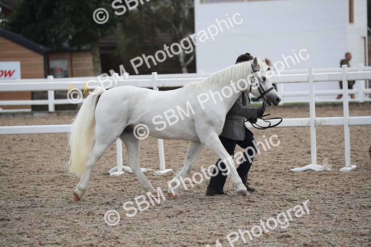 SBM_23106 - Class 605 - 2025 Area - IH Veteran