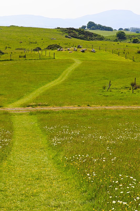 Carrowmore Path - Ruins and Not So Ruined