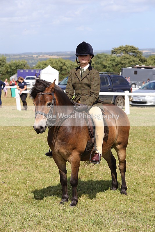1X9A5608 - Class 39: NPS Dartmoor, Exmoor, Shetland