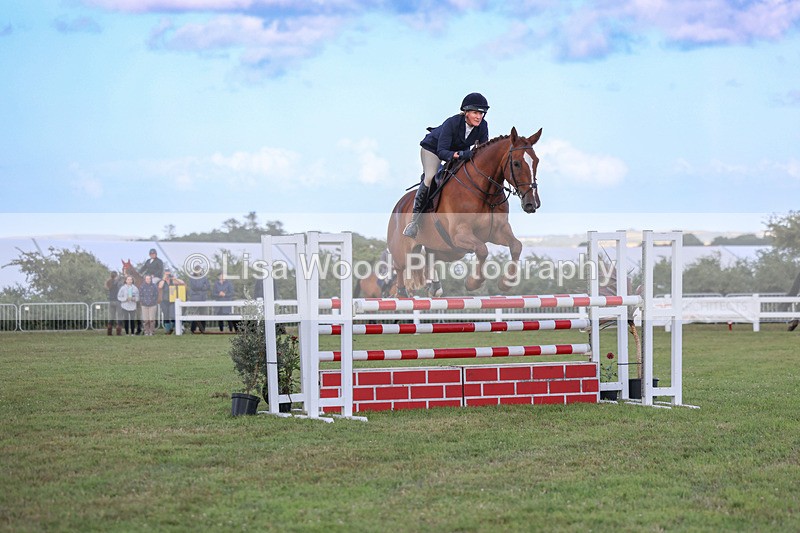 3E7A4859 - Class C1: Showjumping Senior Newcomers/1.10m open