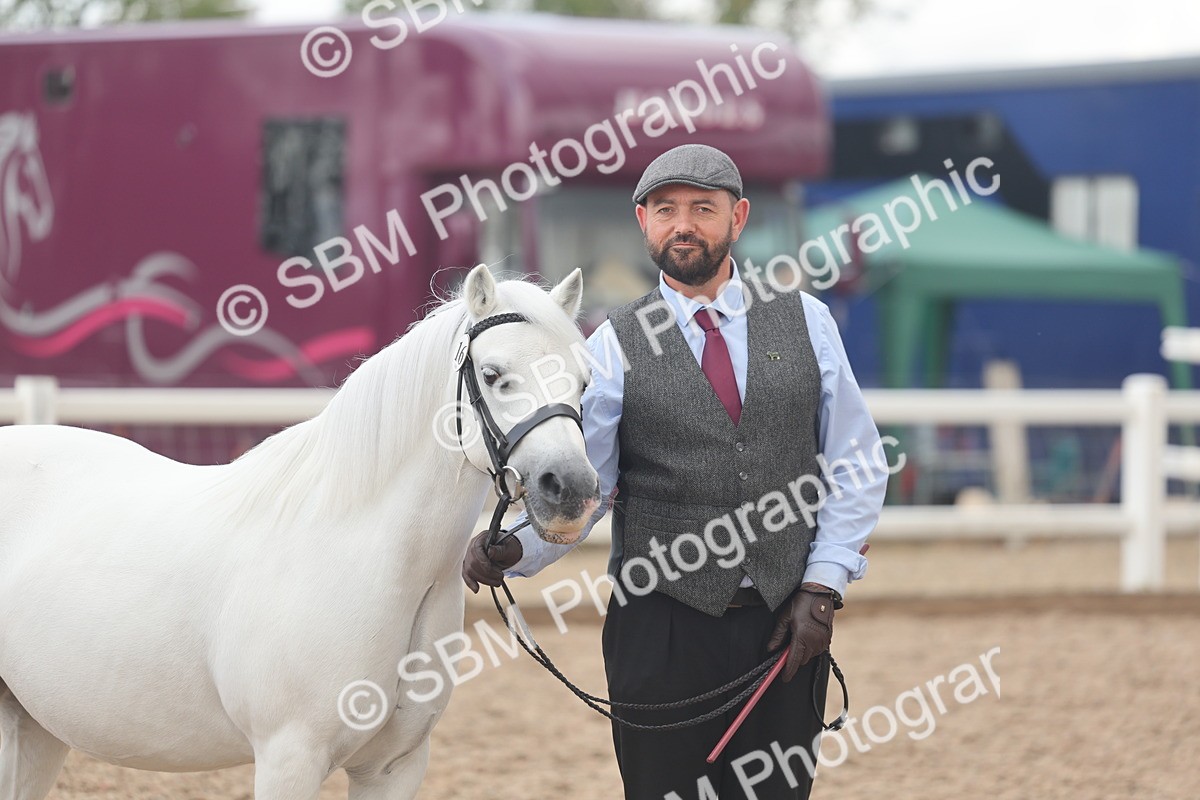 SBM_03276 - Class 16 - IH M&M Wildcard